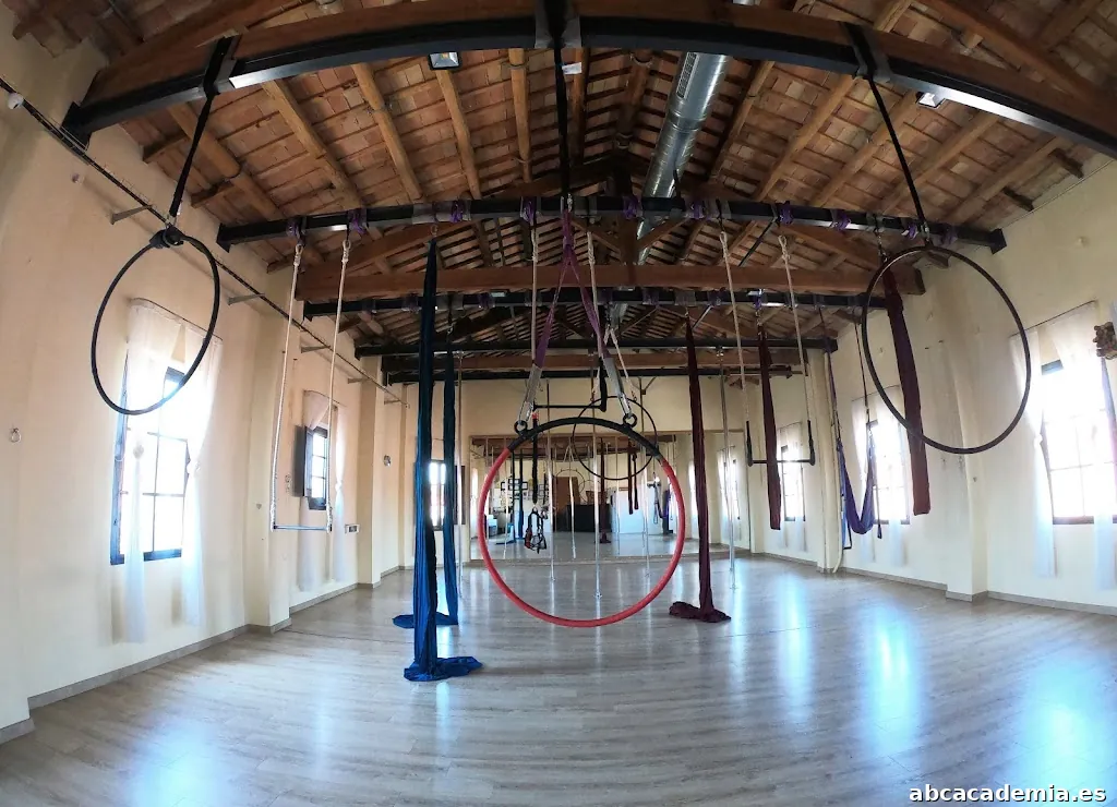 Vertical Vic - Escola de Circ, Poledance i Arts aèries.