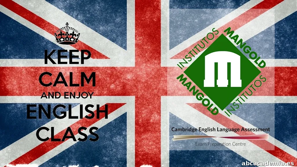 The Mangold Institute