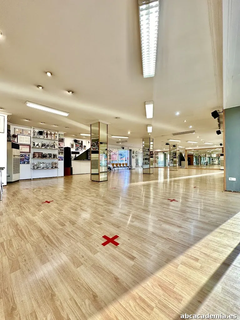 ADB Terrassa - Amics del Ball