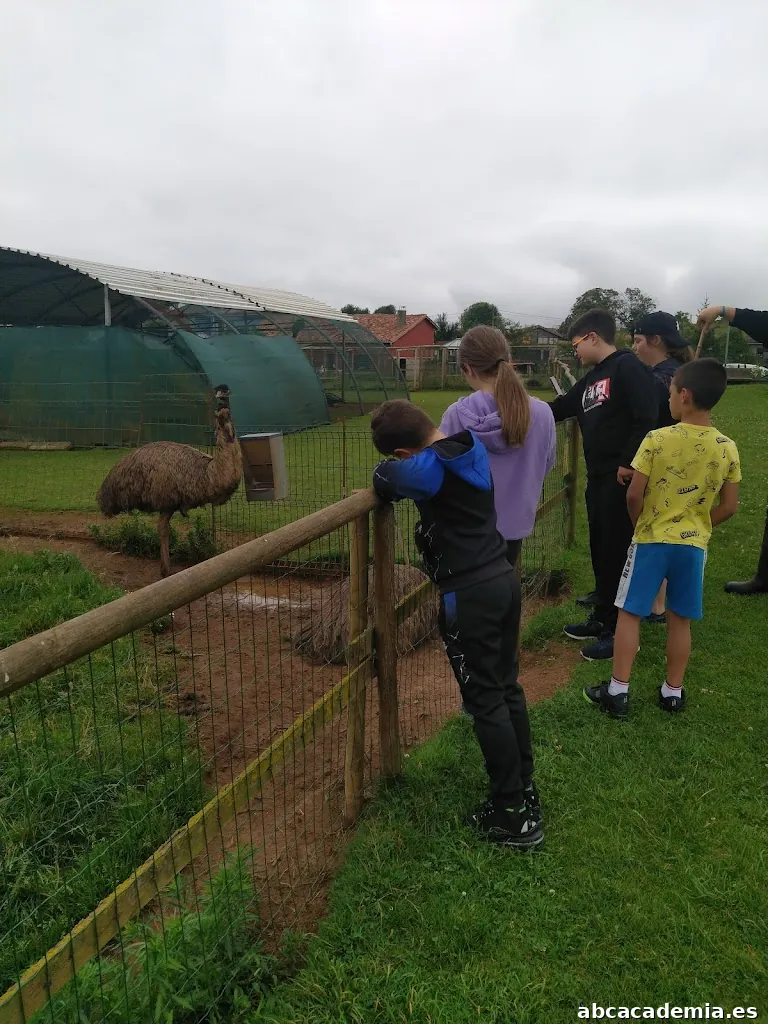 Motiva2 Espacio Educativo