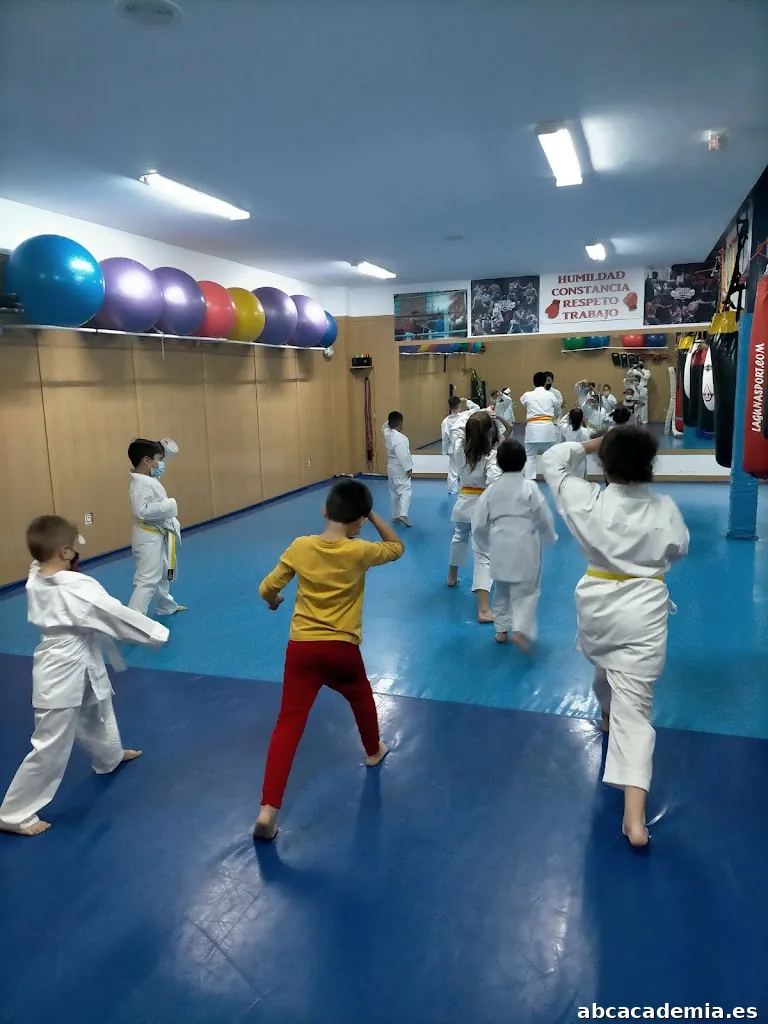 Karate Bargas