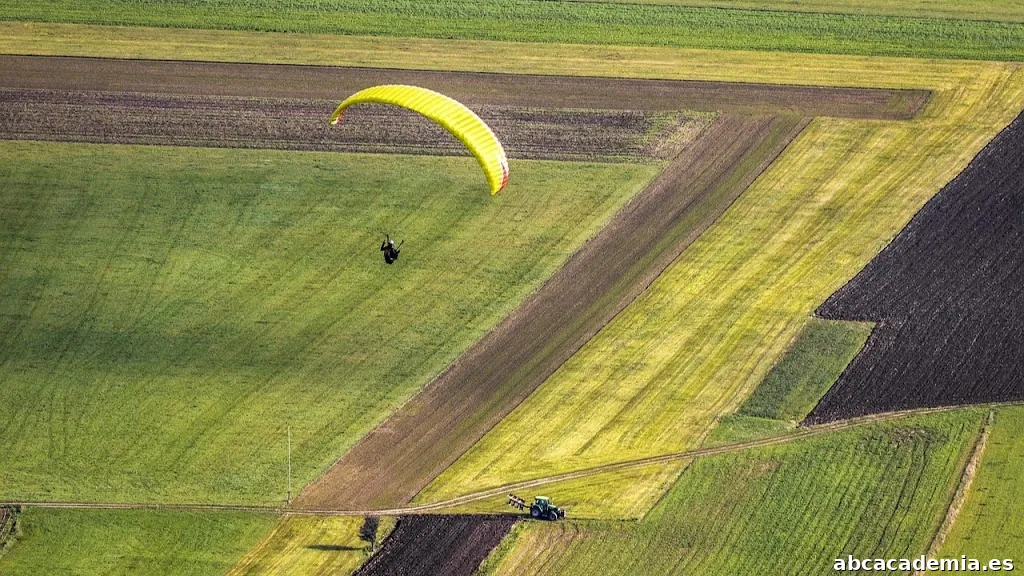 Universidad Internacional de Riego. Formación Riego Profesional Cursos Online. Alcázar de San Juan - Castilla-La Mancha
