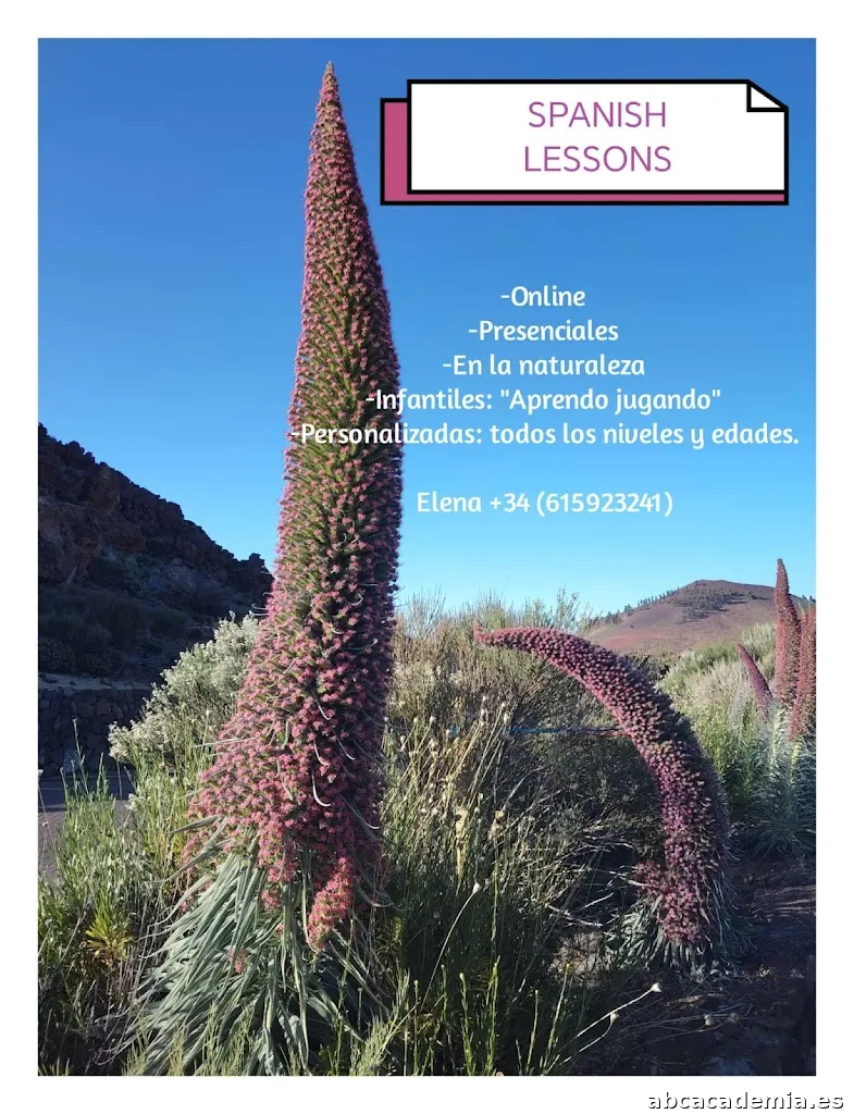 Spanish lessons with Elena /Clases de español con Elena