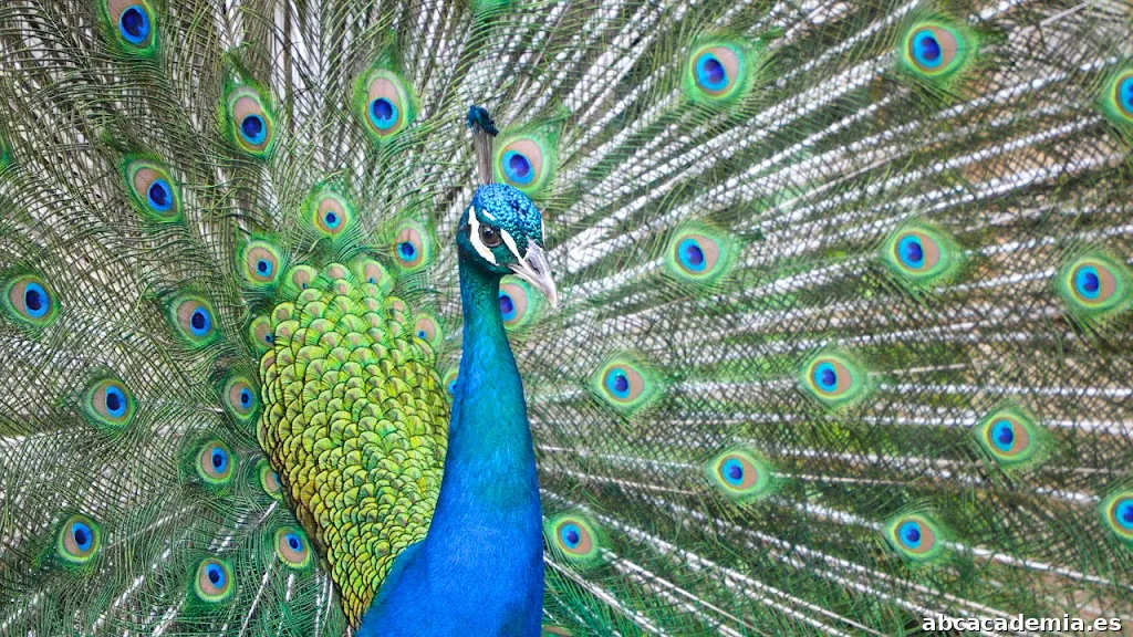 Granja Escuela La Huerta de Carlos