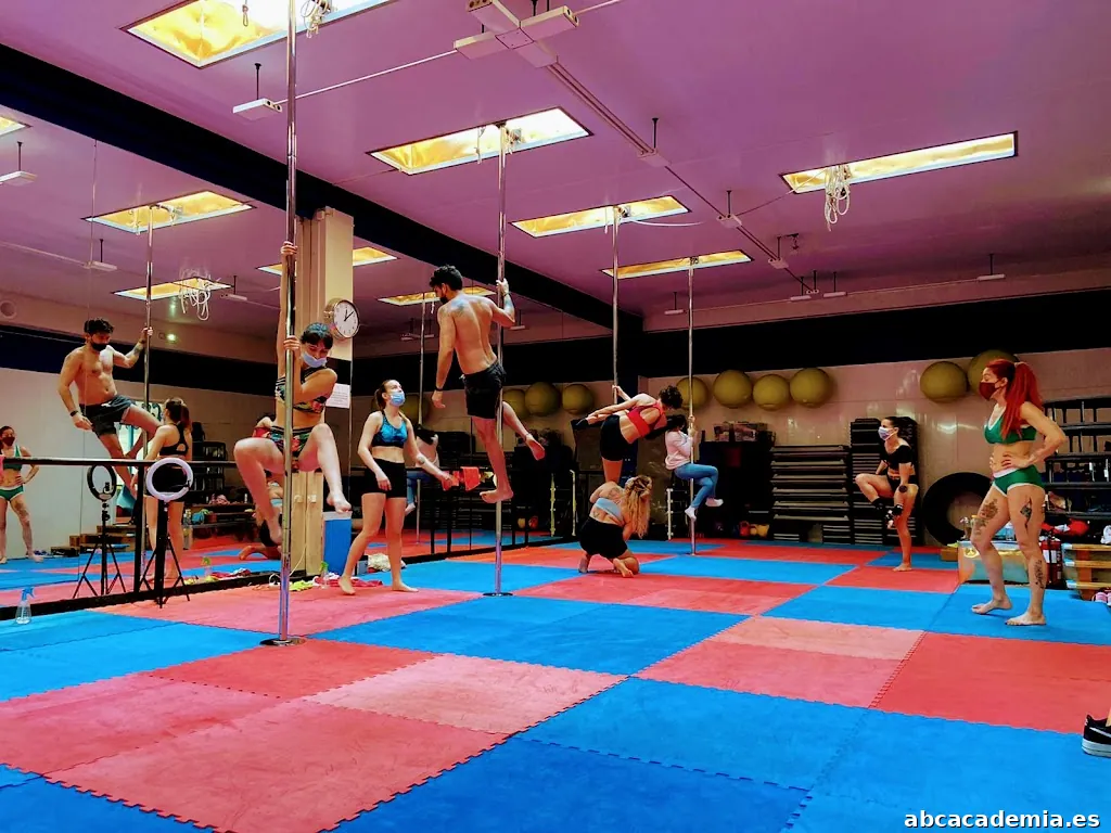 Tefanis Pole Dance Estudio Gijon
