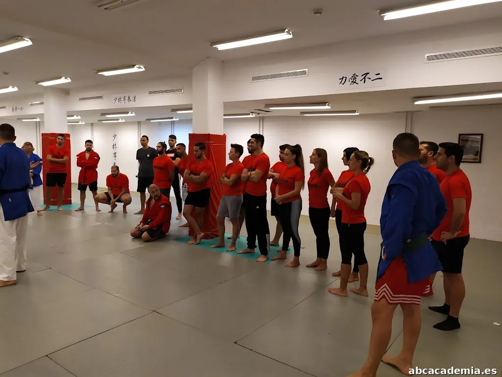 Academia Pegasus Vigilante de Seguridad