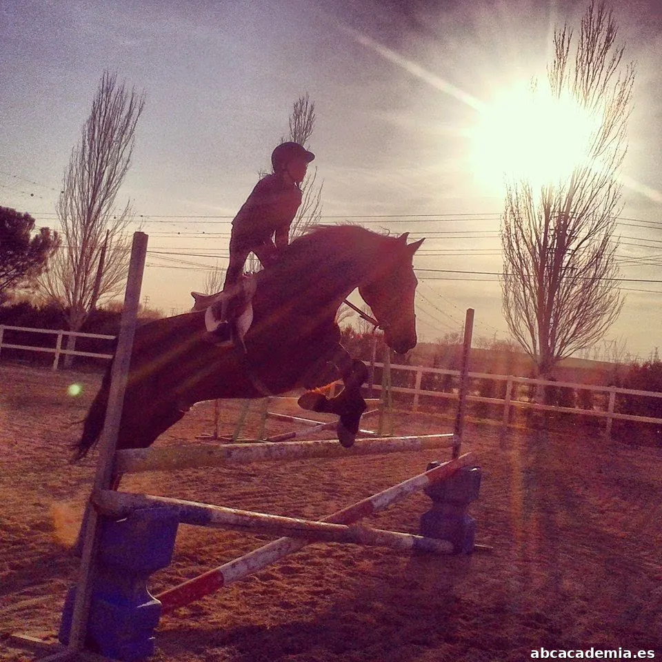 Hípica Madrid Campogrande