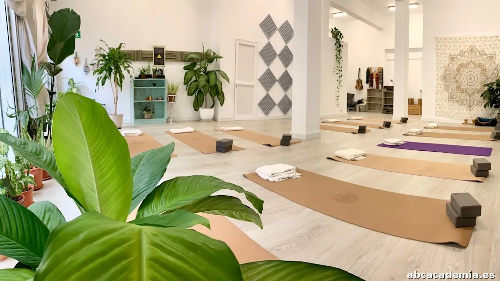 Acrosense Yoga Studio & Acroyoga Tenerife
