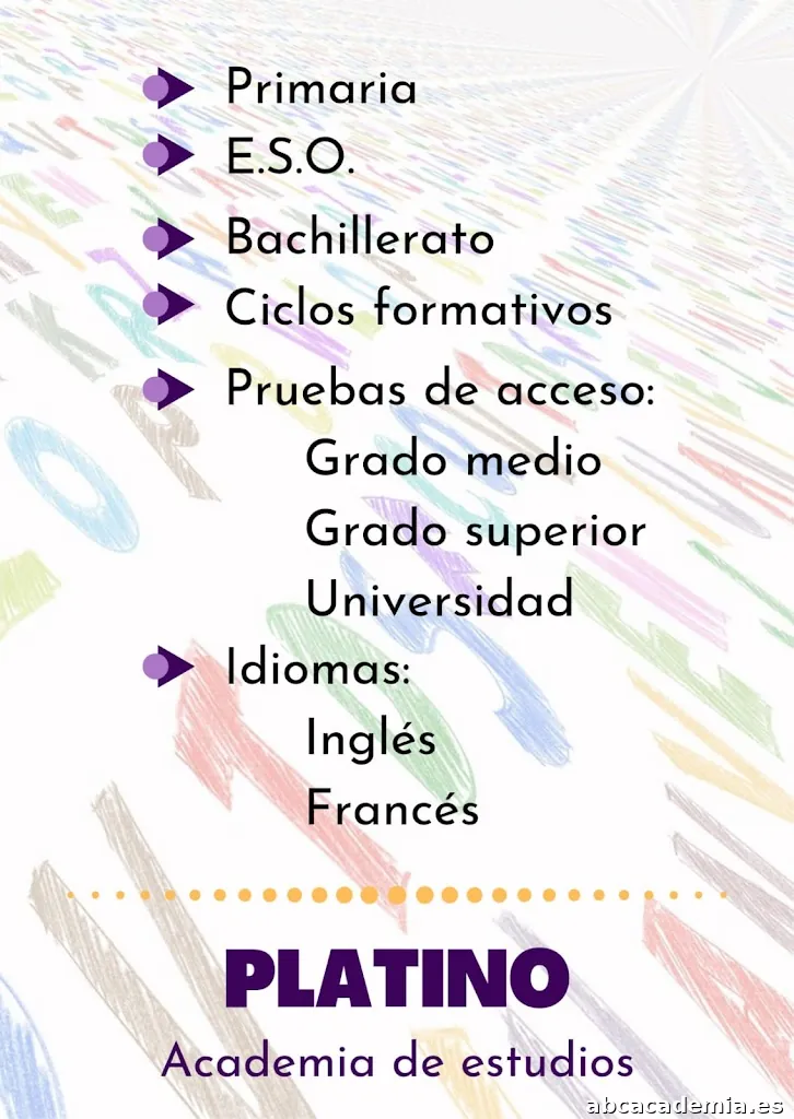 Academia De Estudios Platino