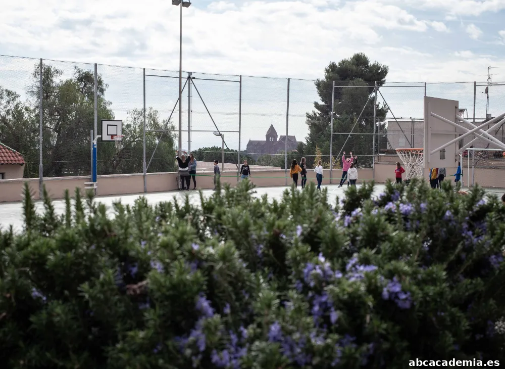Escuela Frederic Mistral - Tècnic Eulàlia (Tibidabo)