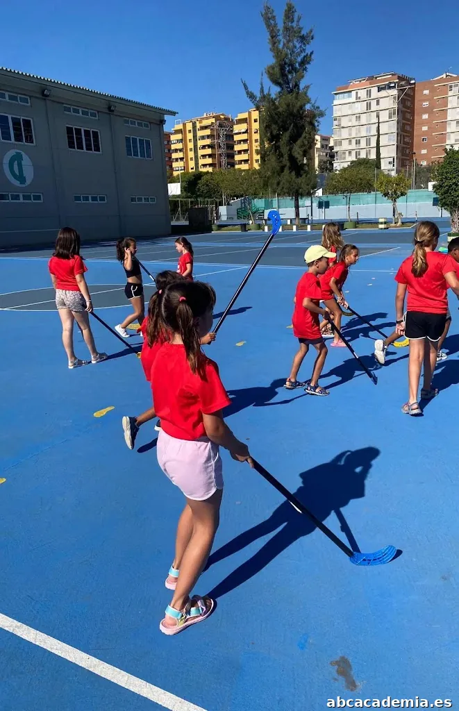 Sagals Academia y Animaciones