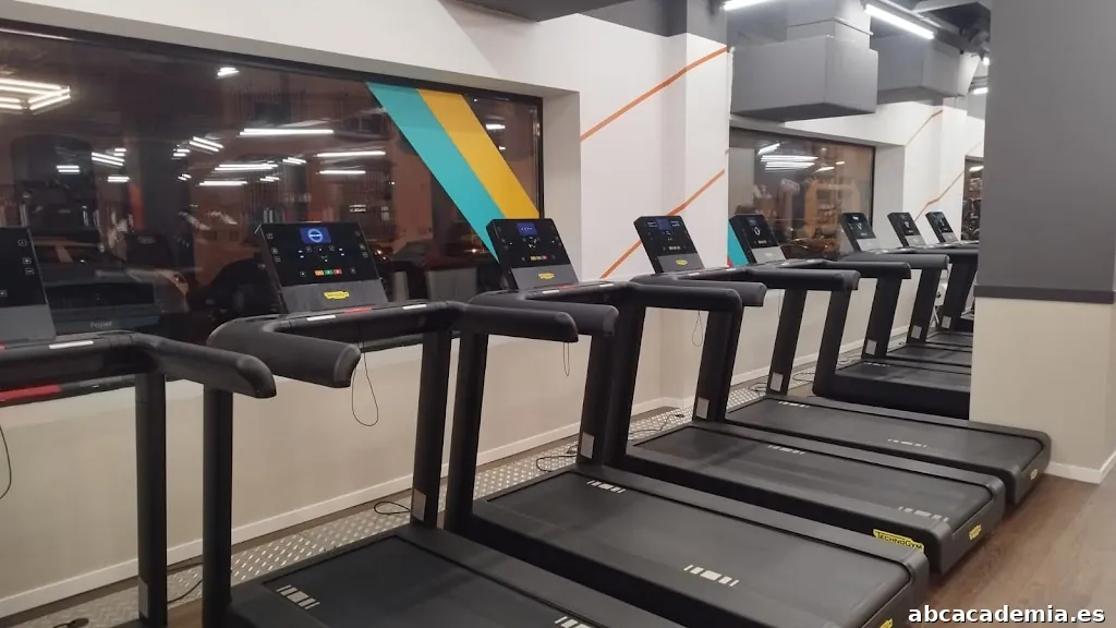 Synergym San Fernando Camposoto