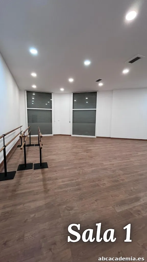 QIDART Studio - Barre / Pilates / Dansa