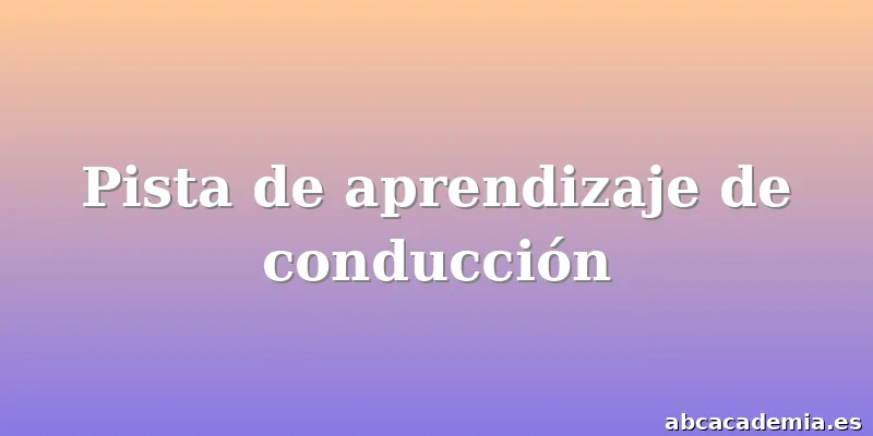 Pista de aprendizaje de conducción
